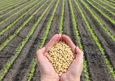 Alimentos con soja: Guía técnica y crítica para una elección saludable