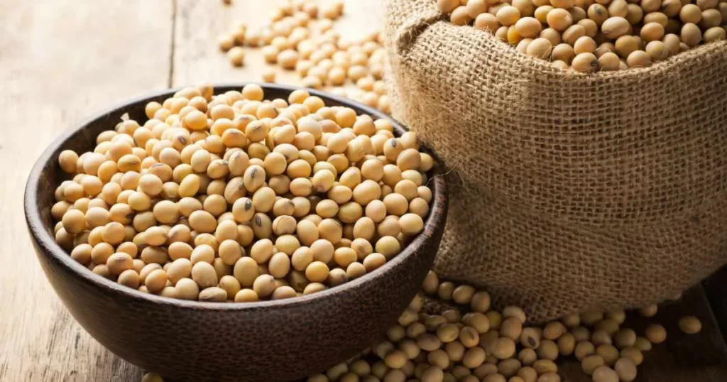 Granos seleccionados de alimentos con soja a granel, sección de Consejos de Distribuciones Ballester.