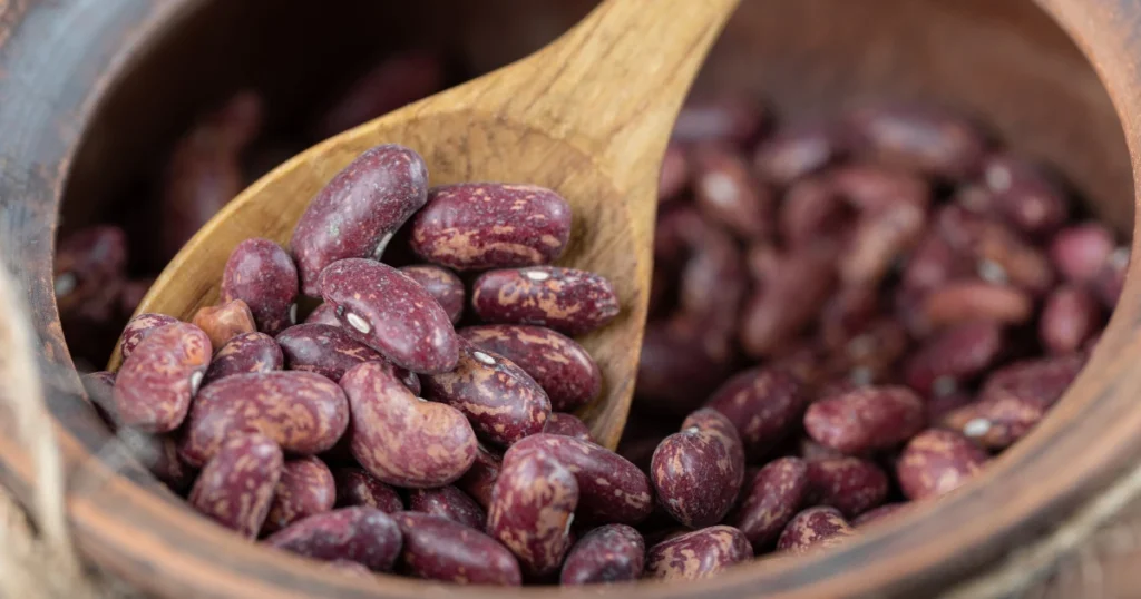 Plato de judías azuki japonesas mostrando, en un primer plano, una cuchara con alguna de ellas.