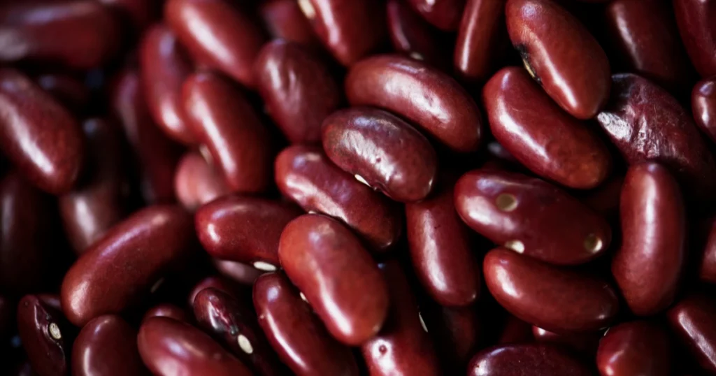 Primer plano de judías azuki japonesas.