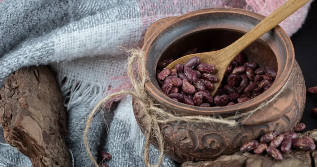 Judías rojas sobre cuenco nipón.