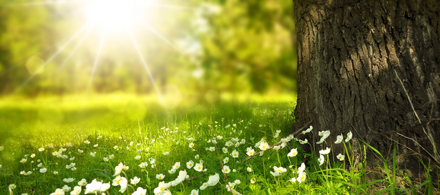 Cómo proteger tu piel del sol de forma natural￼