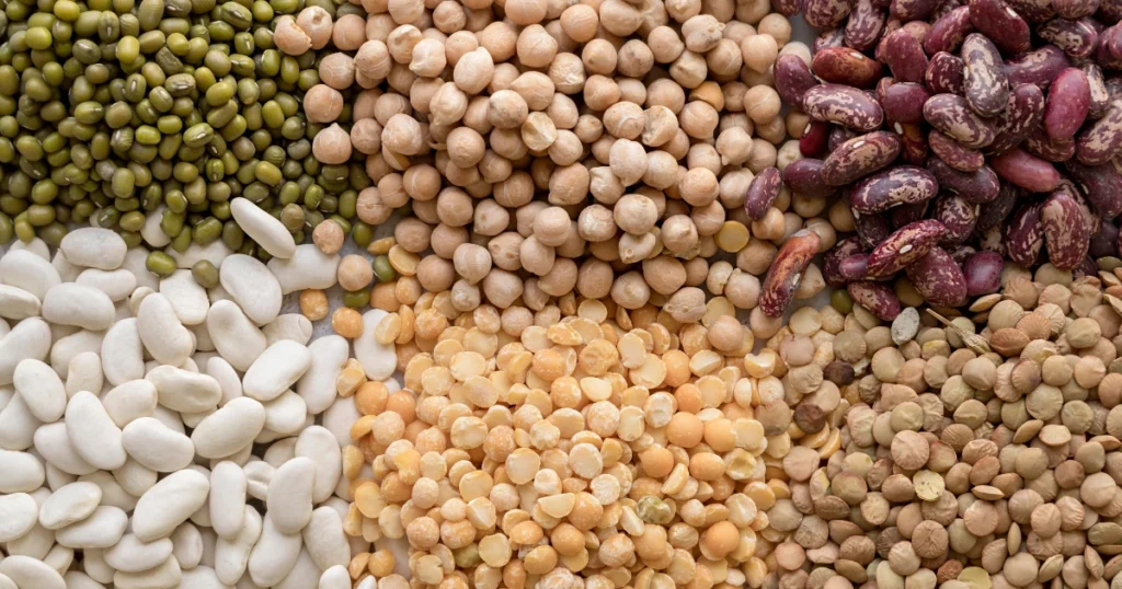 Seis tipos de legumbre que aportan proteínas vegetales.